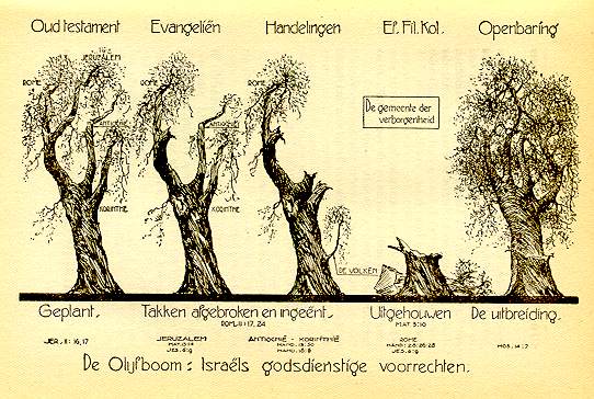 De Olifboom van Israël